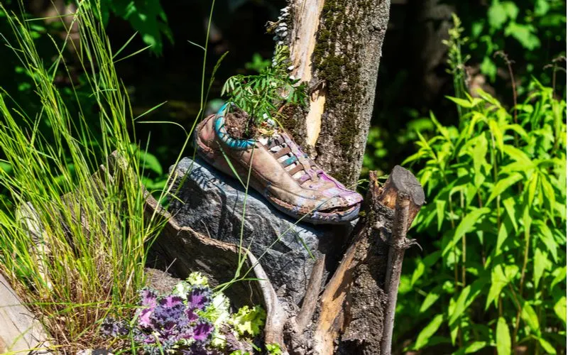 Old shoes used a flower pots next to a stump in the middle of a forest