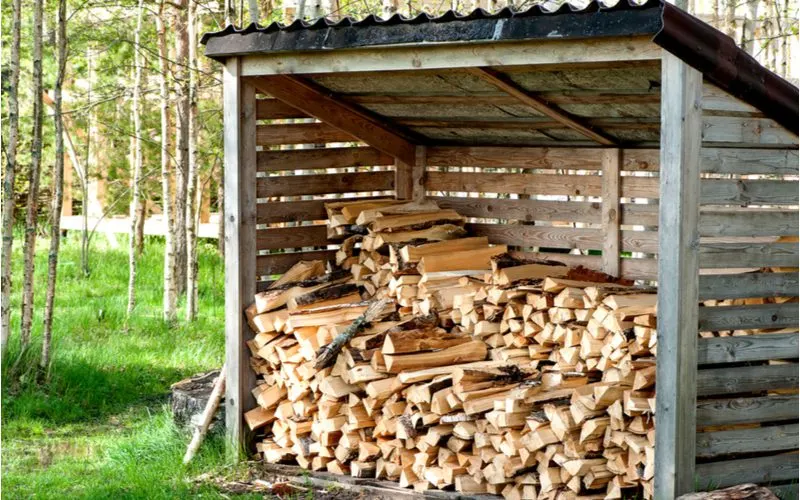 To illustrate what a cord of wood costs, a stack of wood in a dry shed sits in a forest