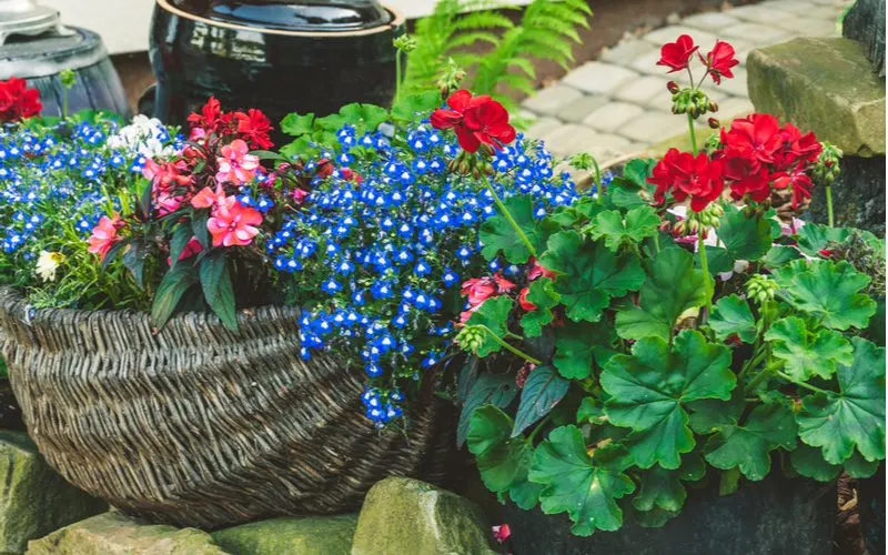 Retro flower baskets in wicker and wood for a unique landscaping inspiration idea
