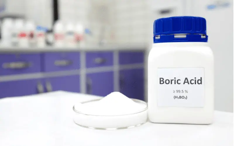 To illustrate how to get rid of ants permanently with boric acid, a dish of the stuff sits on a table in a lab