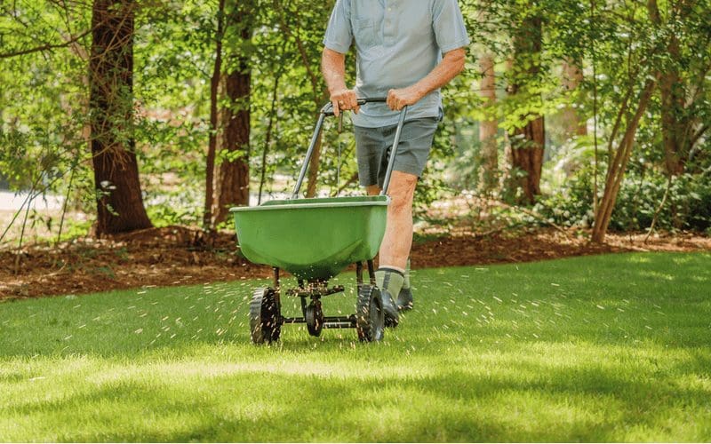 Man using ironite to fertilize his lawn