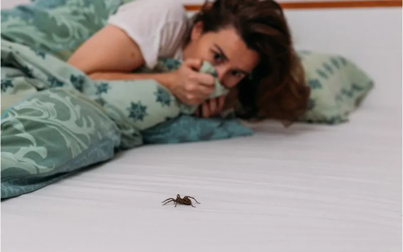 Sleeping woman terrified by a brown house spider crawling on her bed