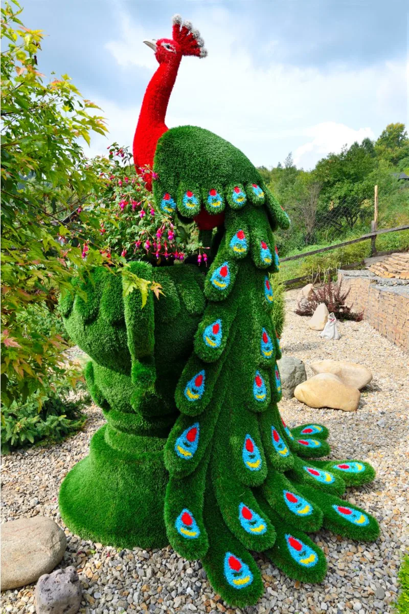 Peacock animal topiary featuring stones surrounding the animal