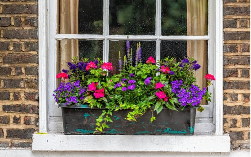 Adding a planter, a unique curb appeal idea, onto the outside of a window