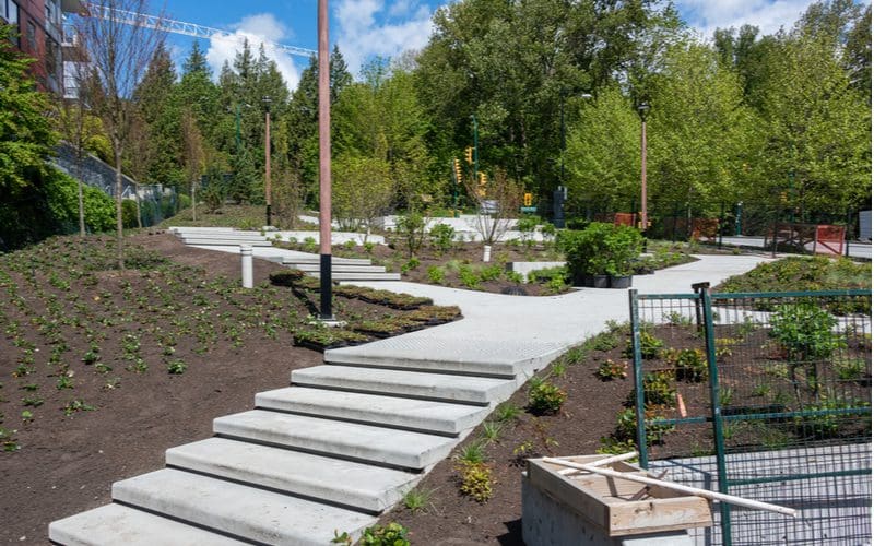 Brand new concrete steps that are curing shown next to a landscaping bed with lots of greenery