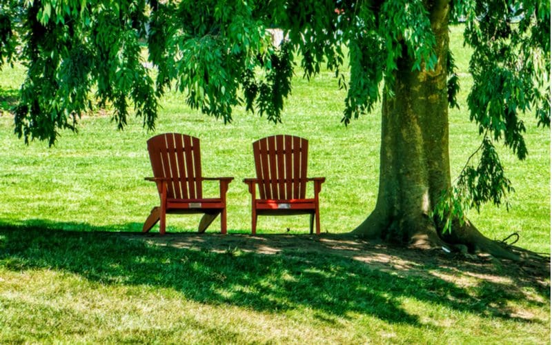 Best patio shade idea with two red wooden chairs under a big tree