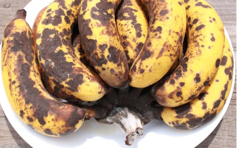 A bunch of rotten bananas that attract gnats in the house sit on a plate on a wooden table