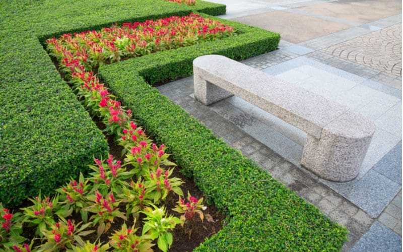 Zigzag garden landscaping idea featuring flat hedges alongside a bench with flowers in the middle