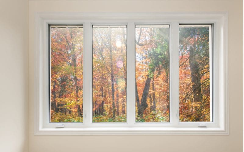 To help answer what is a casement window, an image showing such a window with the panes closed looking out into the forest with orange trees