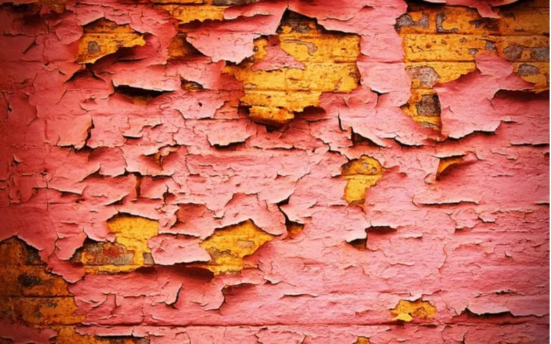 To help illustrate how to remove paint from brick, a brick wall with flaking red paint and stained bricks