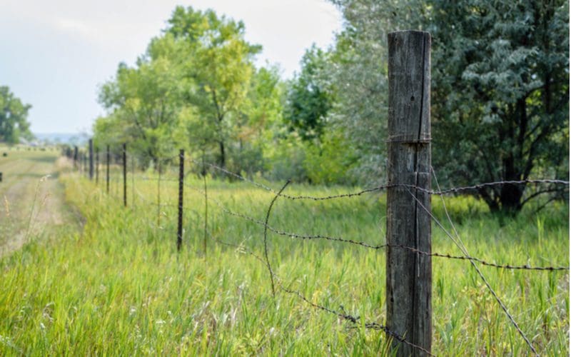 Image showing why you should know how to find your property line with a barbed wire fence by a mowed field