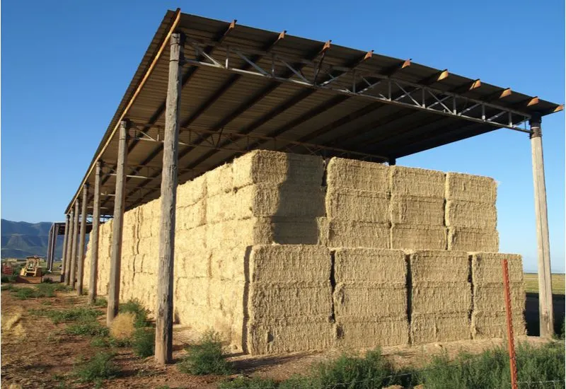 Image of a DIY pole barn to save on costs that's above a bunch of hay bales
