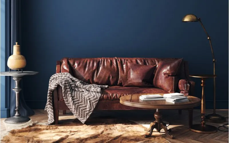 Dark brown couch in a living room idea with a royal blue wall and a patterned grey blanket