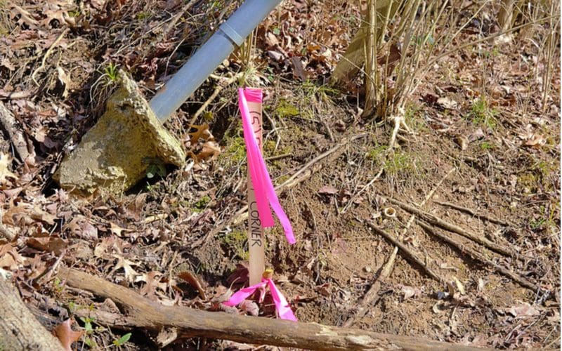 To help you find a property line, a wooden stick is marked with the line and tied with pink ribbon