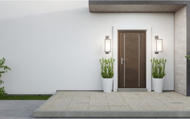 First image for house entrance ideas showing two plants next to an entryway door