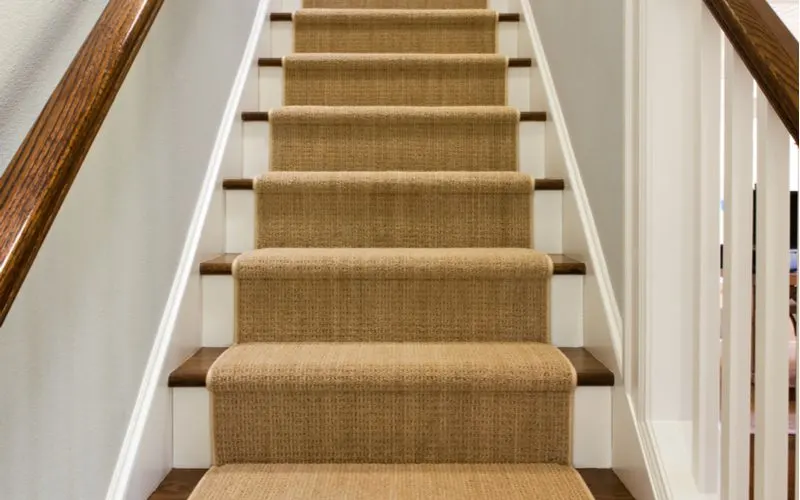 Partially Carpeted Stairs With Wood Trim