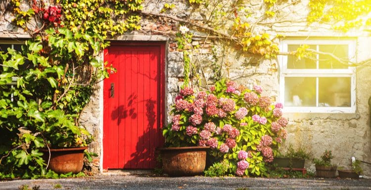 Red door idea roundup featuring this featured image of a red door on a vine-covered Irish house