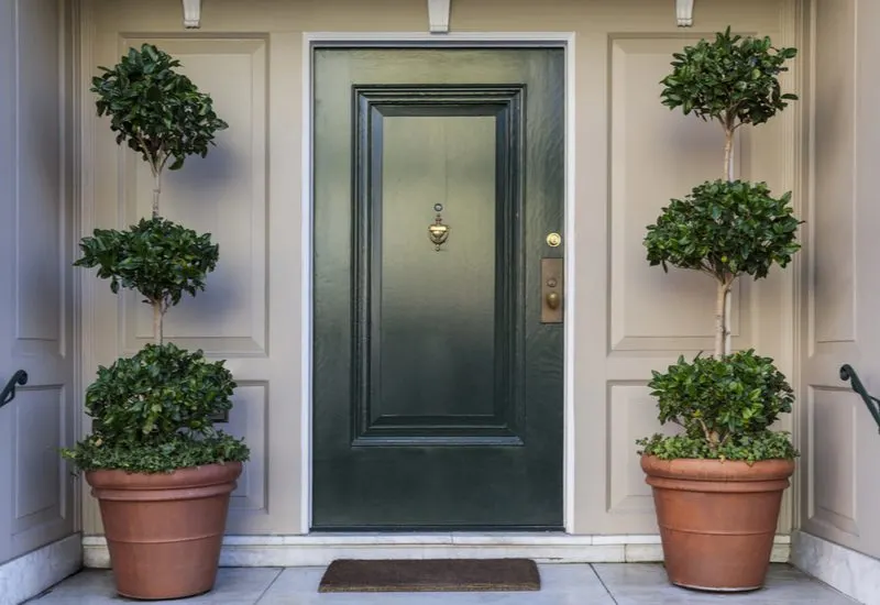 Another house entrance idea featuring a door with dr suess-esque plants on either side of a heavy black door with brass hardware