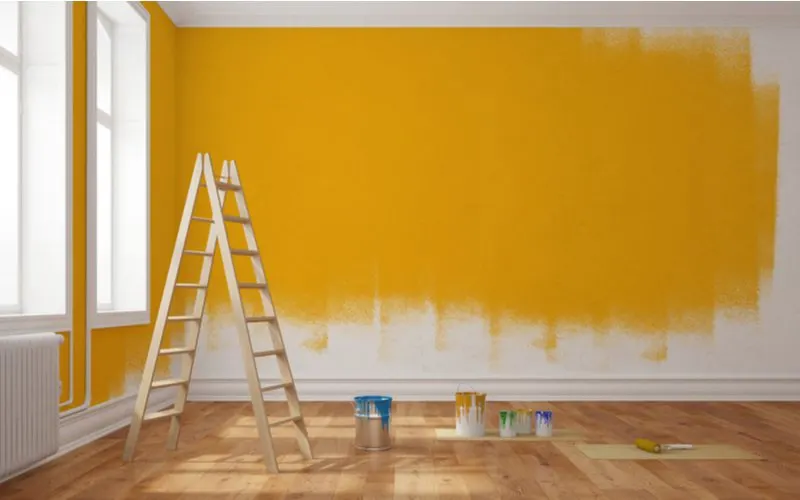 Photo of a partially-painted orange wall for a piece on types of paint
