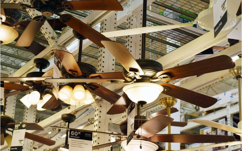 To illustrate whether or not you should put a ceiling fan in your kitchen, a number of fans mounted on downrods in a Home Depot store