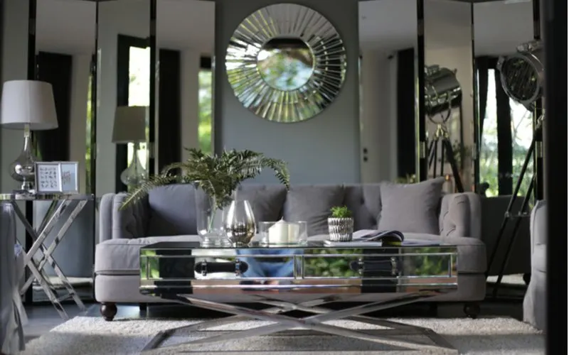 Dark Grey Hardwood Floors With Light Grey Rug in a modern living room