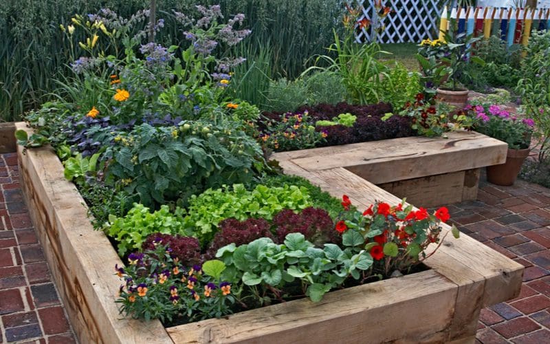 Raised garden bed made of wood in the middle of a paver patio for a piece on flower bed ideas