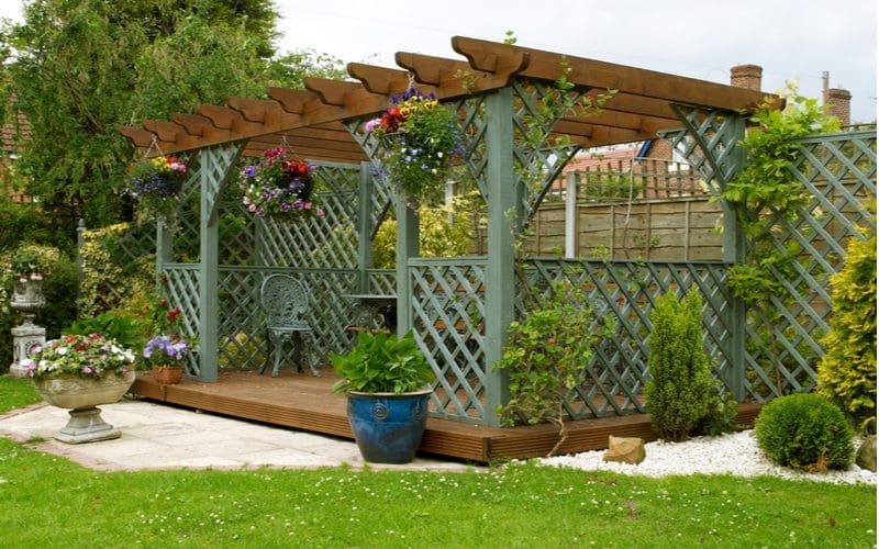 Pergola idea with a pergola surrounded by greenery with vines crawling up the lattice