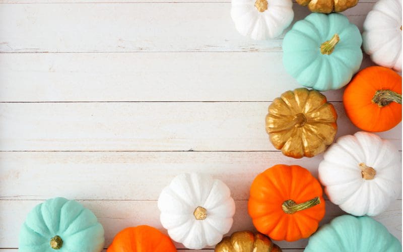 Teal bedroom décor idea roundup featuring light green and orange and white pumpkins arranged neatly on a white shiplap table