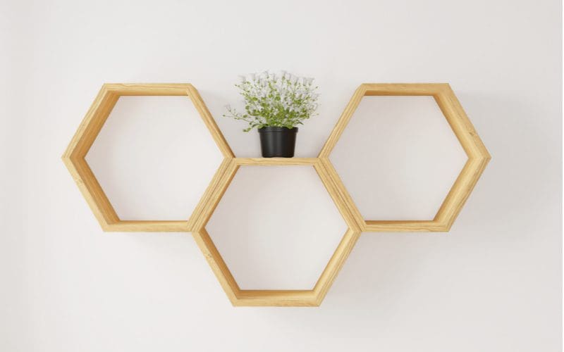 As an image for a roundup on cheap ways to cover walls, a hexagonal wood wall mounted bookshelf holds a small plant and nothing else