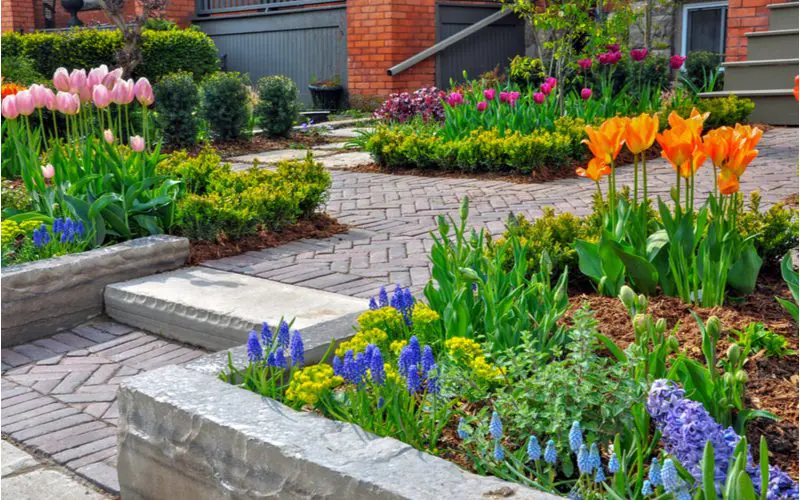 Front yard landscaping idea with lots of concrete flower beds lining a grey paver patio