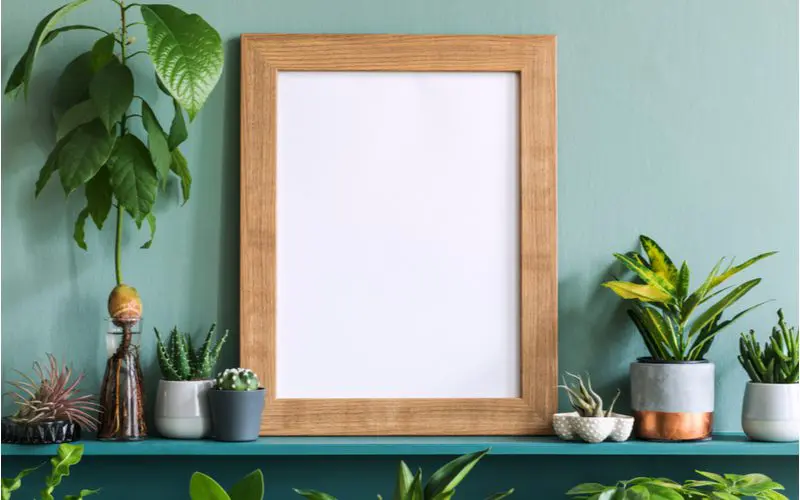 For a piece on what kind of paint do you use on picture frames, a natural wood frame around a plain white piece of paper sitting on a teal shelf