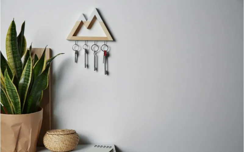 Unique cutout-style mountain key holder mounted on the wall above an entry table with decor and a snake plant