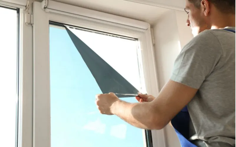 Guy sticking a roll of window film onto a glass door to cover it