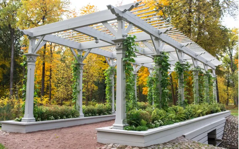 Pergola idea that includes a built-in flower bed that's covering a small bridge that spans two sides of a stream