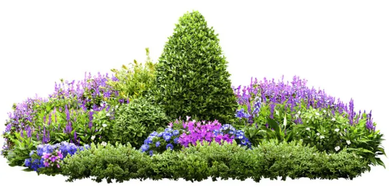 Flower bed idea to Use a Tree or Large Shrub as a Centerpiece