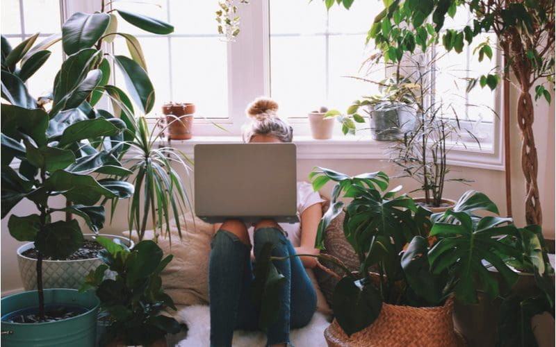 Woman sitting with a laptop on her legs in the middle of several tropical house plants in the front room that is acting as a greenhouse