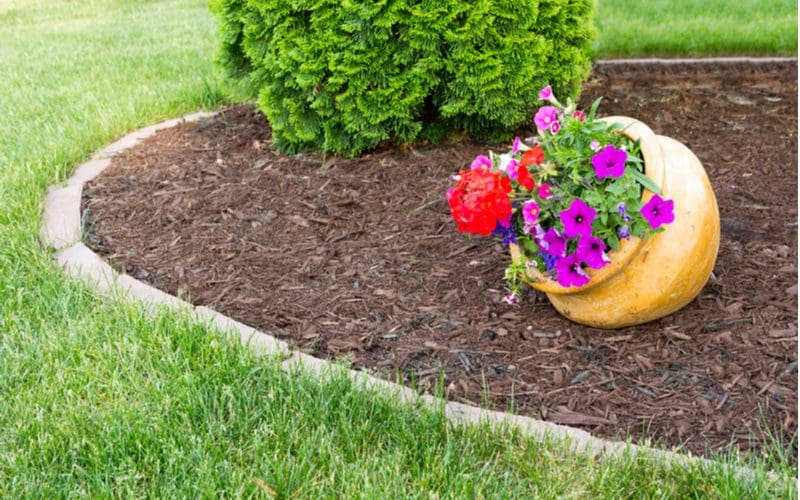Piece on flower bed ideas with a yellow clay pot tipped over sitting in a simple mulch bed