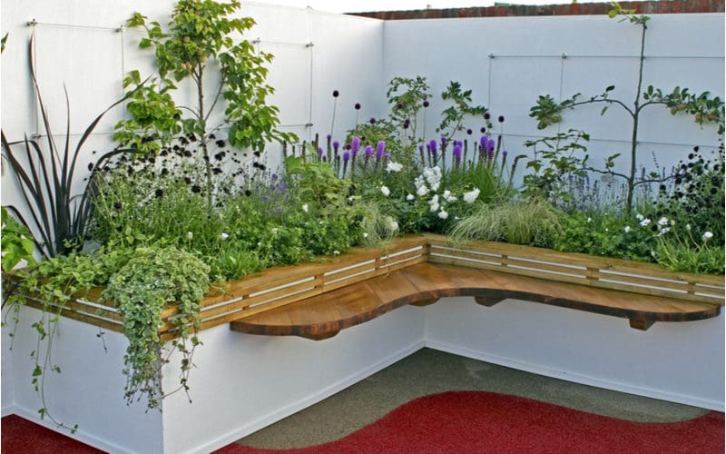 Flower Bed Idea That Uses a Raised Flower Bed as Seating for Your Guests