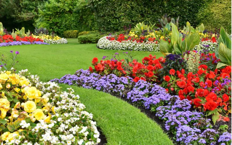 Use Your Flower Beds to Create Paths Through Your Yard as a flower bed idea