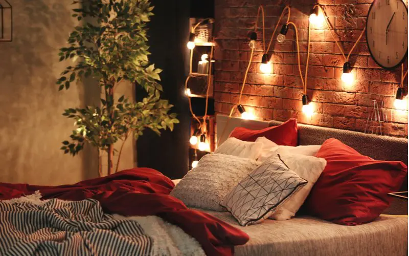 Another image of the brick men's bedroom idea featuring plants and hanging Edison string light bulbs above a short headboard