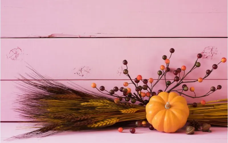 Fall Centerpiece Idea Made of a Pumpkins and Wheat Sheaf