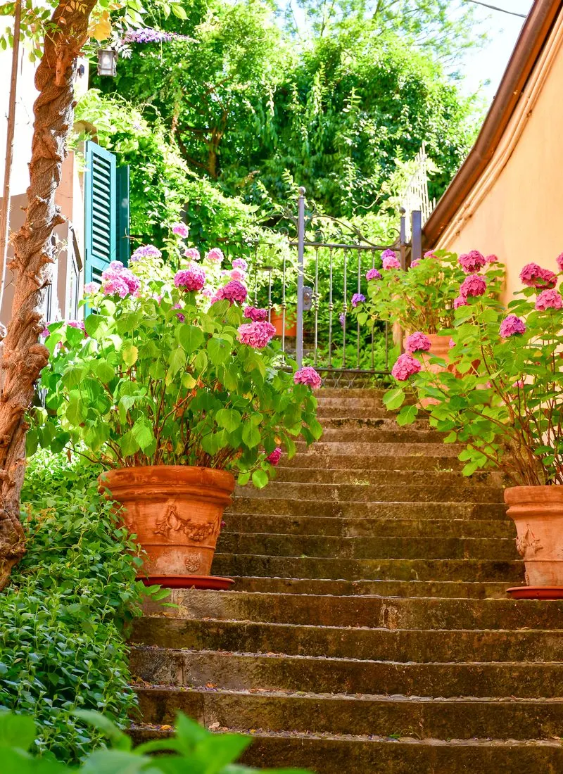 A Rare Gem in Planter Design with ornately decorated terra cotta planters on the stairs leading to a home's entryway