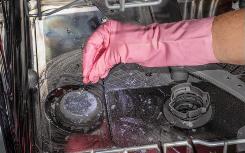 For a step by step guide on how to unclog a dishwasher, a person wearing pink rubber gloves sprinkles salt into a dishwasher drain