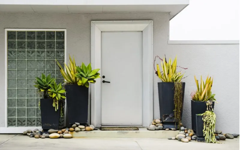 Dark blue square entryway planters outside of a simple stucco and adobe-style home