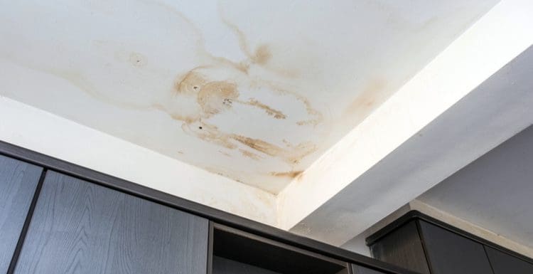 Image for a piece titled How to Remove Water Stain on Ceiling showing a discolored ceiling