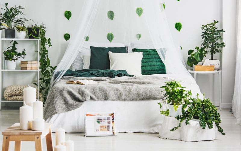 Comforter sits on a blanket in a room with green leaves accenting the walls and floors to illustrate the difference between blankets and comforters