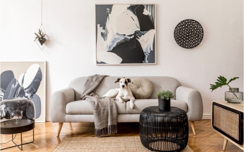Warm Grey Living Room Idea