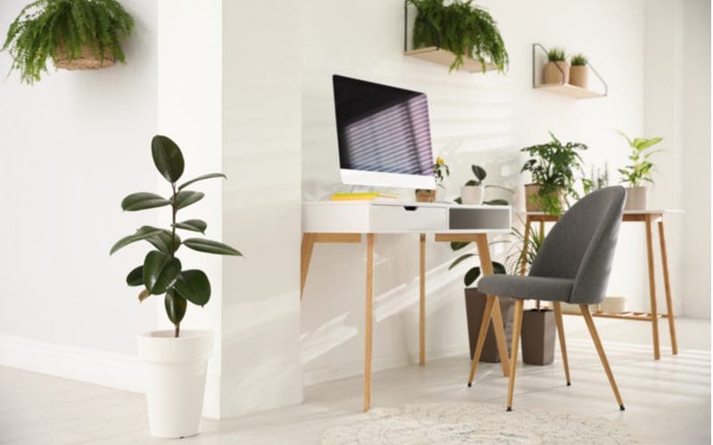 Image for a piece on home office wall decor ideas featuring a few plants hanging from the wall