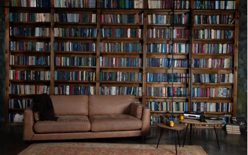 Bachelor pad idea featuring a Massive Home Library in a Cozy Den