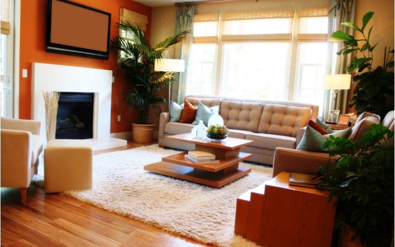 Modern cozy living room idea featuring Rugs, Curtains, Warm Textiles